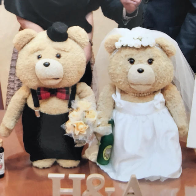 テッド2 ted2 おしゃべり ぬいぐるみ ウェルカムドール 16インチ