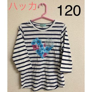 ハッカキッズ(hakka kids)のハッカキッズ★トップス 120(Tシャツ/カットソー)