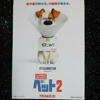 ペット２～試写会(２D字幕版)２名様(洋画)