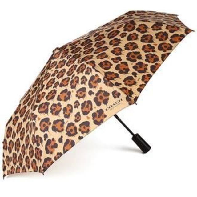 Coach Large Compact Umbrella 女性用 折り畳み 傘傘