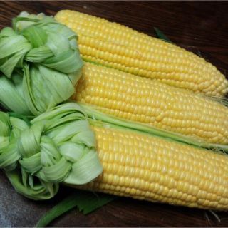 朝採り野菜  トウモロコシ(野菜)