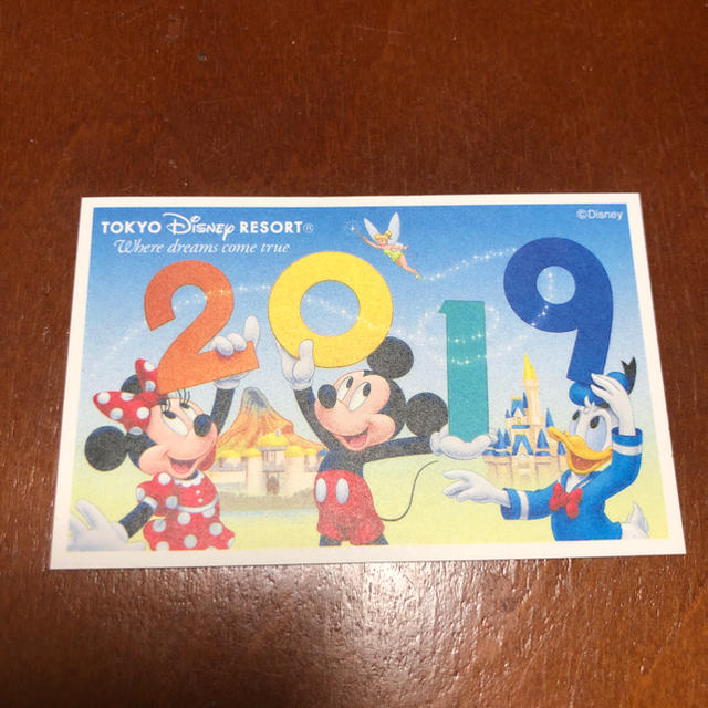 Disney(ディズニー)のディズニー チケット 2枚 ペア チケットの施設利用券(遊園地/テーマパーク)の商品写真