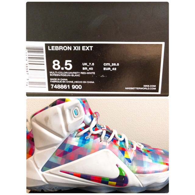 LEBRON XII EXT 1