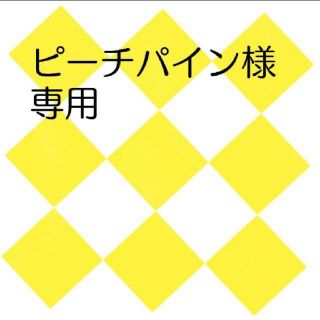 ピーチパイン様専用 ハマナカエコクラフト30m巻白、サンド(その他)