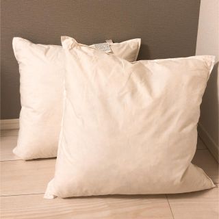 Zara Home Zarahome ヌードクッション2個の通販 By もも S Shop ザラホームならラクマ Zara Home Zarahome ヌードクッション2個の通販 By もも S Shop ザラホームならラクマ