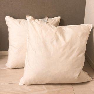 ザラホーム(ZARA HOME)のZARAHOME ヌードクッション2個(クッション)