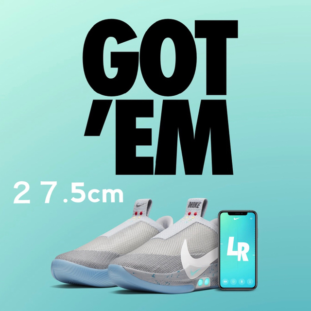 NIKE adapt BB wolf grey 27.5 アダプト