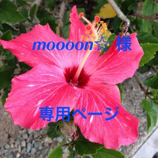 moooon☆様専用(エクササイズ用品)