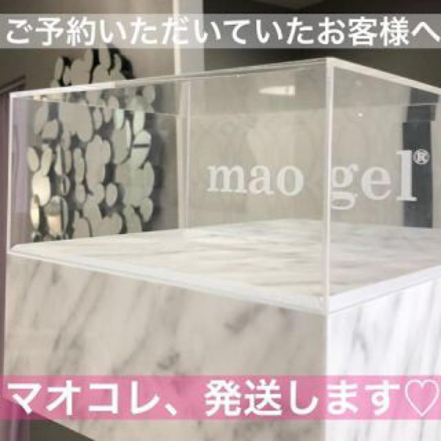 日本公式正規品 ちゃあ様専用✩︎⡱ マオジェル マオコレ&マオ筆セット