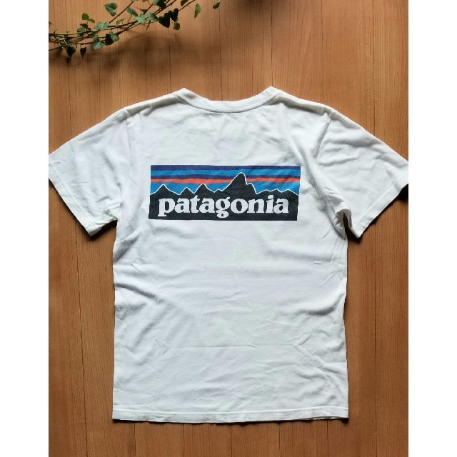 patagonia(パタゴニア)の【美品】patagonia/パタゴニア⭐メンズSサイズ⭐Tシャツ メンズのトップス(Tシャツ/カットソー(半袖/袖なし))の商品写真