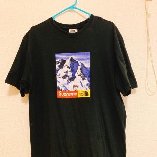 シュプリーム(Supreme)の supreme The North Face Mountain Tee(Tシャツ/カットソー(半袖/袖なし))