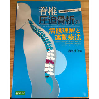 脊椎圧迫骨折の病態理解と運動療法(健康/医学)