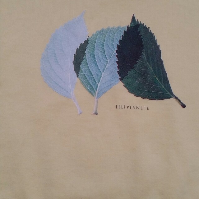 ELLE PLANETE(エルプラネット)のELLE Tシャツ レディースのトップス(Tシャツ(半袖/袖なし))の商品写真