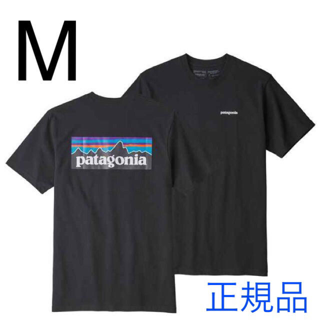 patagonia(パタゴニア)の最新2019 パタゴニア Tシャツ 人気Mサイズ 新品未使用品 Black メンズのトップス(Tシャツ/カットソー(半袖/袖なし))の商品写真