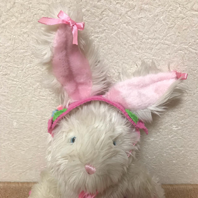 シャーリーテンプル うさぎ