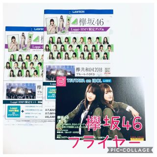 ケヤキザカフォーティーシックス(欅坂46(けやき坂46))の☆ 欅坂46 ☆フライヤー2種（1冊と2部）(^^)(アイドルグッズ)