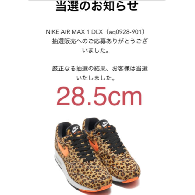 NIKE AIR MAX 1 DLX 28.5cm