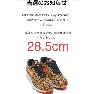 ナイキ(NIKE)のNIKE AIR MAX 1 DLX 28.5cm(スニーカー)