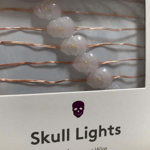 Urban Outfitters(アーバンアウトフィッターズ)の【UO】Skull Lights  スカル型のワイヤーライト♡ インテリア/住まい/日用品のライト/照明/LED(その他)の商品写真