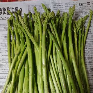 佐賀県産グリーンアスパラ1.5キロ(訳あり)(野菜)