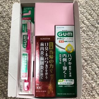 サンスター(SUNSTAR)のサンスター 歯磨きセット(歯ブラシ/歯みがき用品)