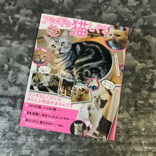 猫本(猫)