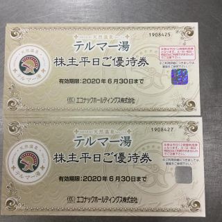テルマー湯  平日優待券  3枚(その他)