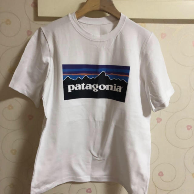 patagonia(パタゴニア)のパタゴニア Tシャツ  レディースのトップス(Tシャツ(半袖/袖なし))の商品写真