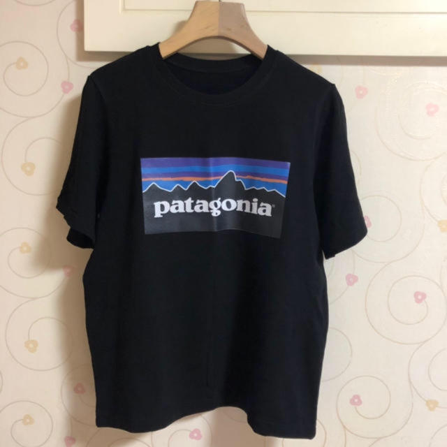 patagonia(パタゴニア)のパタゴニア Tシャツ  レディースのトップス(Tシャツ(半袖/袖なし))の商品写真