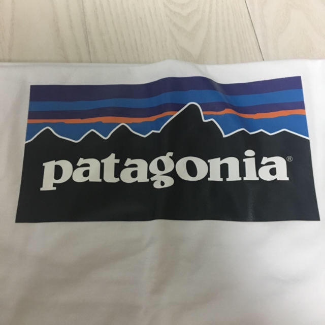 patagonia(パタゴニア)のパタゴニア Tシャツ  レディースのトップス(Tシャツ(半袖/袖なし))の商品写真