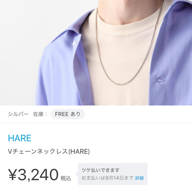 HARE(ハレ)の【HARE】 Vチェーンネックレス 新品未使用 メンズのアクセサリー(ネックレス)の商品写真