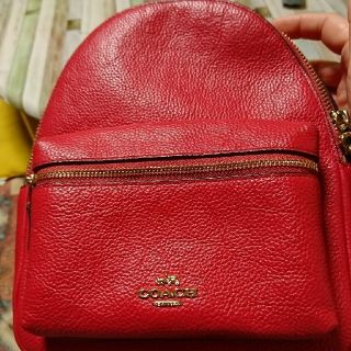 コーチ(COACH)のay.ta様専用☆リュック☆新型コロナウイルスに負けるなセール！(リュック/バックパック)