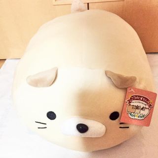 ドウシシャ(ドウシシャ)の最終値下げ ピーターソン ちょっとこぶりなごろねこサミットクッション(ぬいぐるみ)