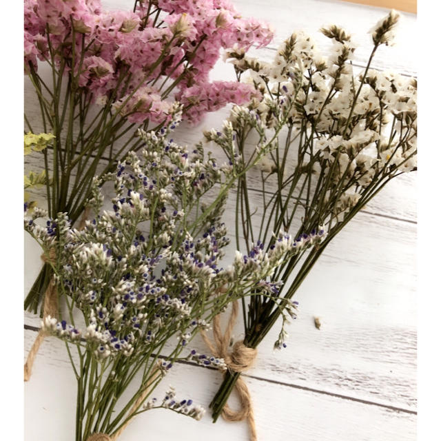 ドライフラワー 花材 ハイブリッドスターチス ブルーファンタジー ハンドメイドの素材/材料(各種パーツ)の商品写真