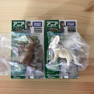 タカラトミー(Takara Tomy)のアニア くじ プレーリードッグとフェネック(知育玩具)