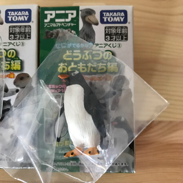 Takara Tomy(タカラトミー)のアニア くじ コアリクイとジェンツーペンギン キッズ/ベビー/マタニティのおもちゃ(知育玩具)の商品写真