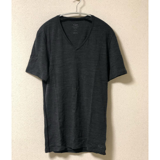 GOLDWIN(ゴールドウィン)のicebreaker アナトミカショートスリーブ メンズのトップス(Tシャツ/カットソー(半袖/袖なし))の商品写真