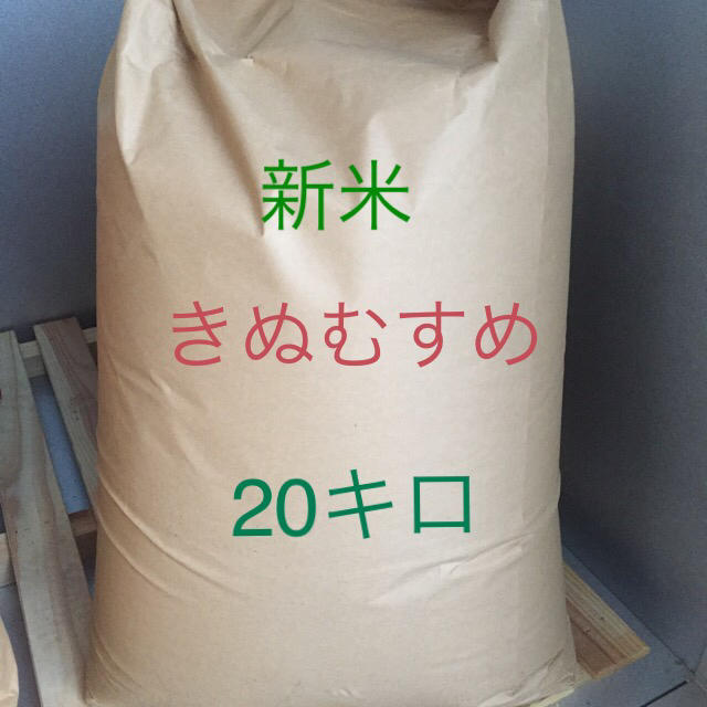 きぬむすめ  20キロ米/穀物