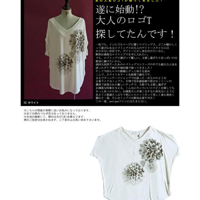 antiqua(アンティカ)のアンティカ ダリア 花柄 トップス Ｔシャツ レディースのトップス(Tシャツ(半袖/袖なし))の商品写真