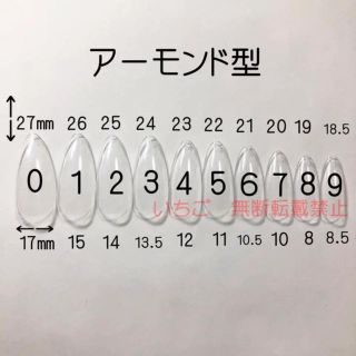 ????アーモンドサイズ表????