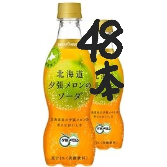 48本北海道のプレミアム果実「夕張メロン」のソーダ
 食品/飲料/酒の飲料(ソフトドリンク)の商品写真