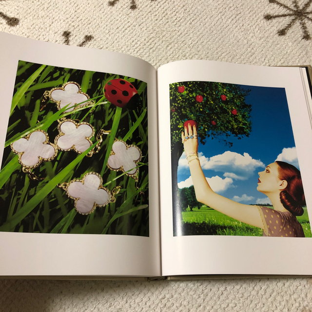 Van Cleef & Arpels(ヴァンクリーフアンドアーペル)のヴァンクリーフ&アルハンブラ 作品集 エンタメ/ホビーの本(アート/エンタメ)の商品写真