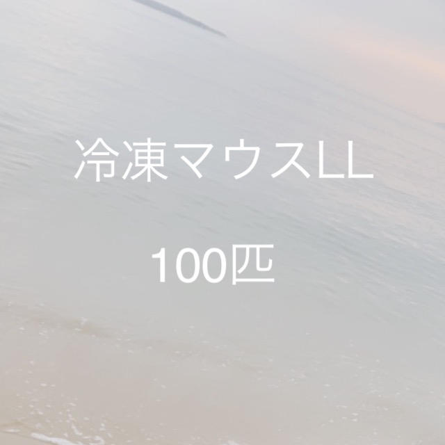 冷凍マウスLL 100匹 冷凍マウスLL 100匹