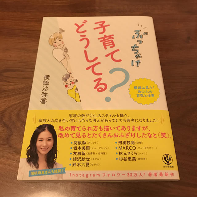 （かもめ様専用）ぶっちゃけ子育てどうしてる？ エンタメ/ホビーの本(住まい/暮らし/子育て)の商品写真