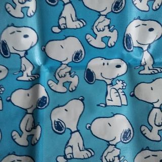 スヌーピー(SNOOPY)のレジャーシート☆スヌーピー(その他)