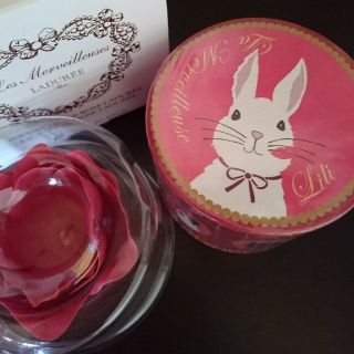 ラデュレ(LADUREE)の【限定】ラデュレ チーク うさぎ ＊LADUREE チーク(チーク)