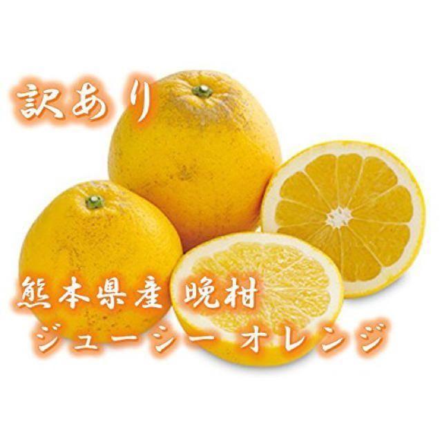 kogi様専用 晩柑 10kg ジューシー オレンジ みかん 柑橘 蜜柑 食品/飲料/酒の食品(フルーツ)の商品写真
