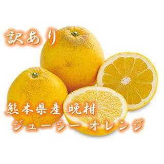 kogi様専用 晩柑 10kg ジューシー オレンジ みかん 柑橘 蜜柑(フルーツ)