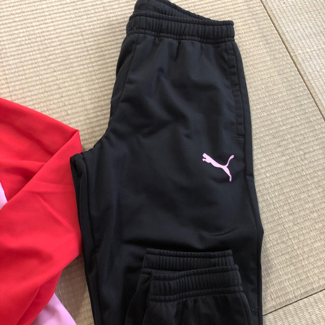 PUMA(プーマ)の新品★140cm[PUMA] ジャージ上下セット★女の子 キッズ/ベビー/マタニティのキッズ服女の子用(90cm~)(ジャケット/上着)の商品写真