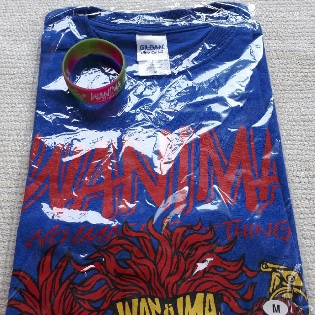 WANIMA(ワニマ)のWANIMA Tシャツ ラババンセット エンタメ/ホビーのタレントグッズ(ミュージシャン)の商品写真